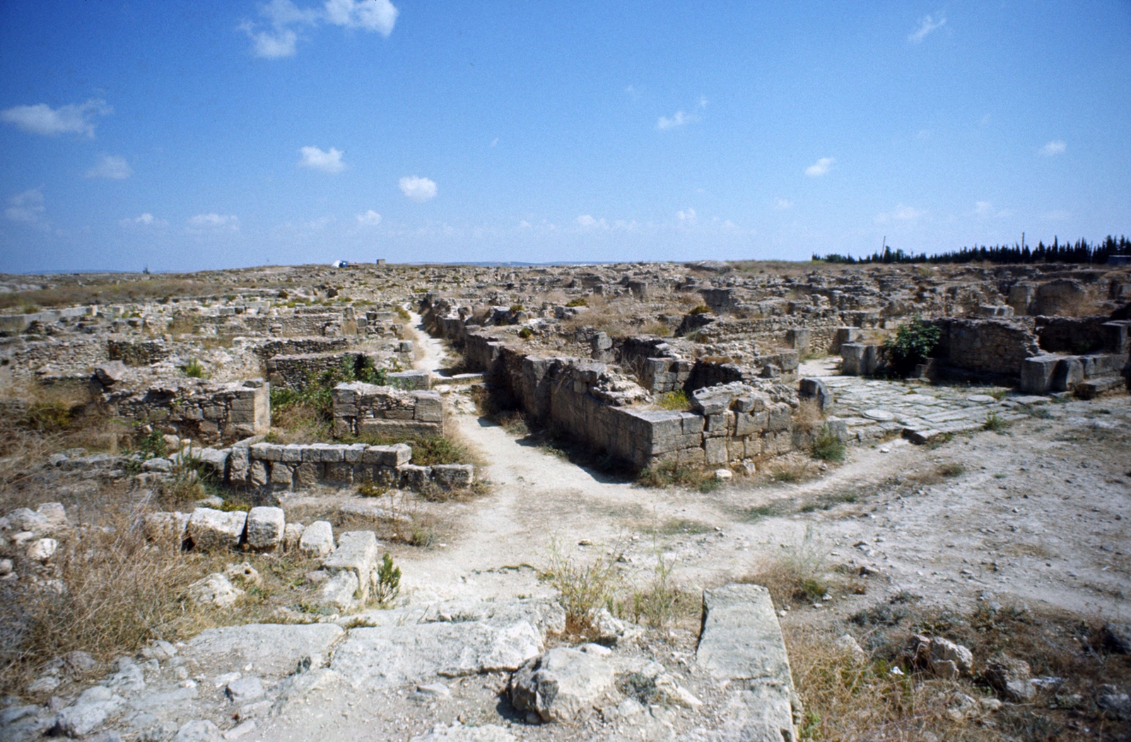 Les ruines de la cité d'Ougarit au Bronze récent 