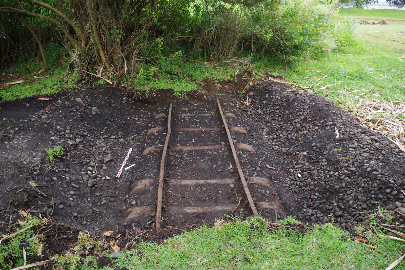Rails (Saint-Benoît, Train station, 2020)