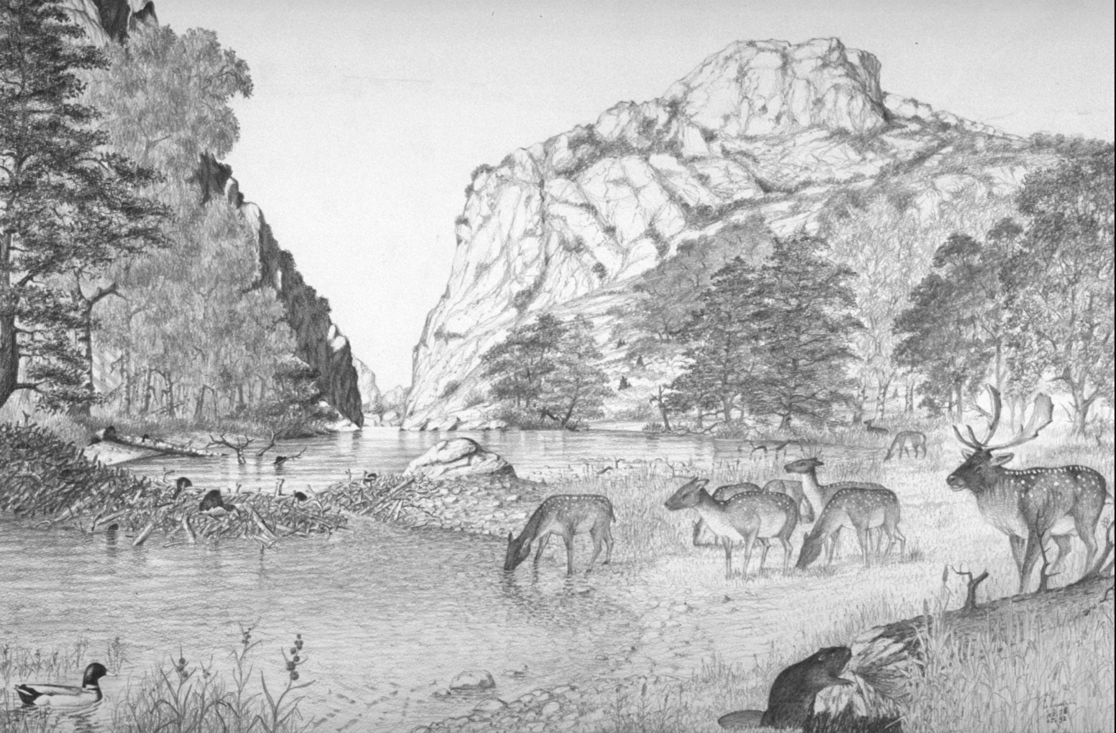 Gorges des Gouleyrous Dessin E. Guerrier.