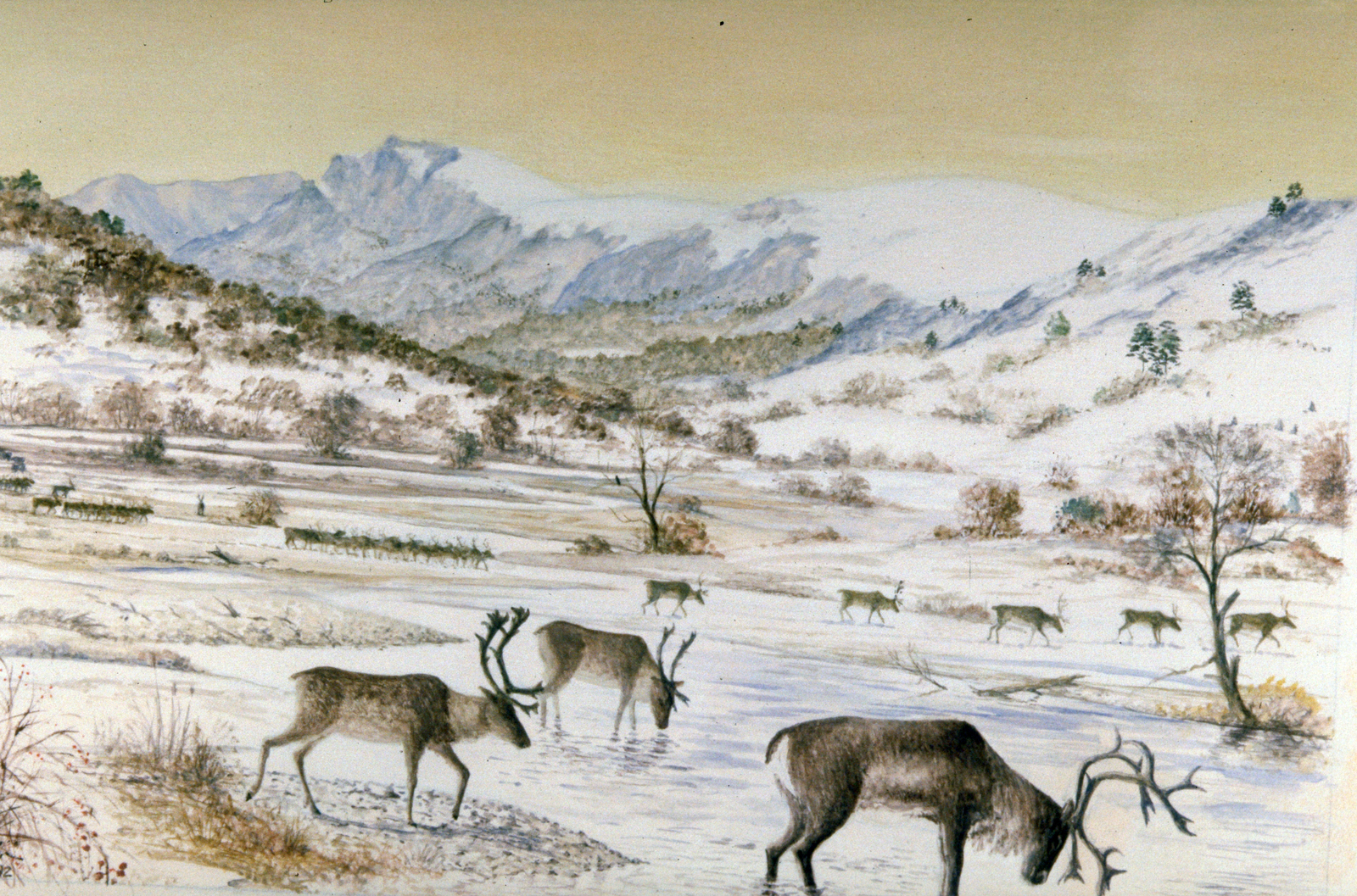 Rennes dans la vallée enneigée Dessin E. Guerrier.