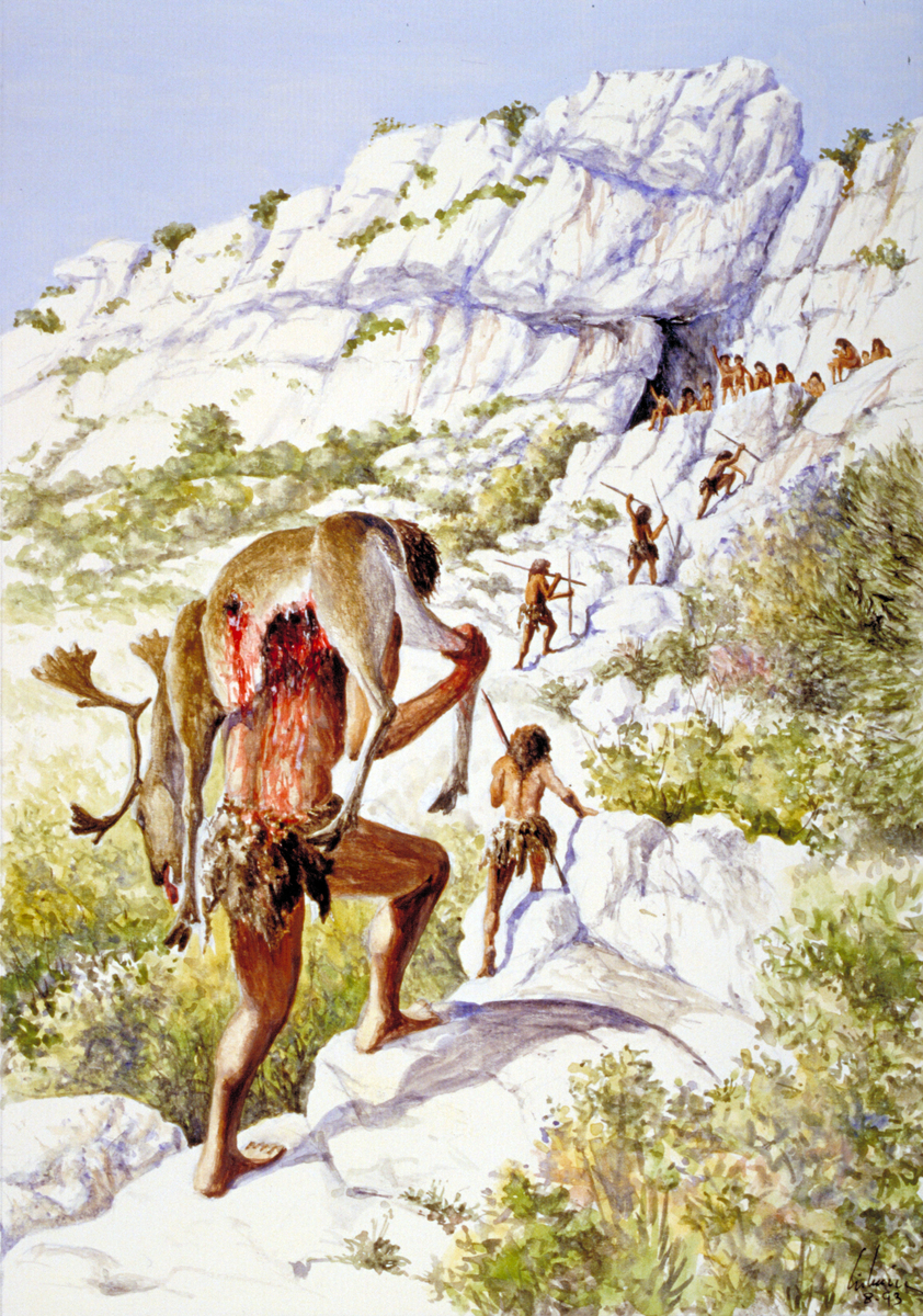 Chasse aux rennes Dessin E. Guerrier.