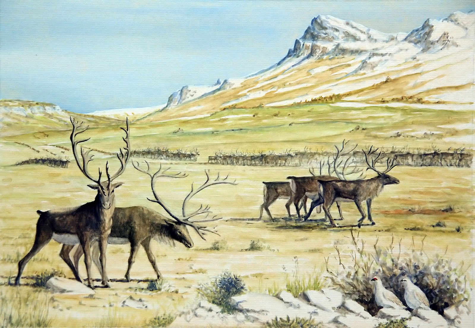 Rennes dans la vallée Dessin E. Guerrier.