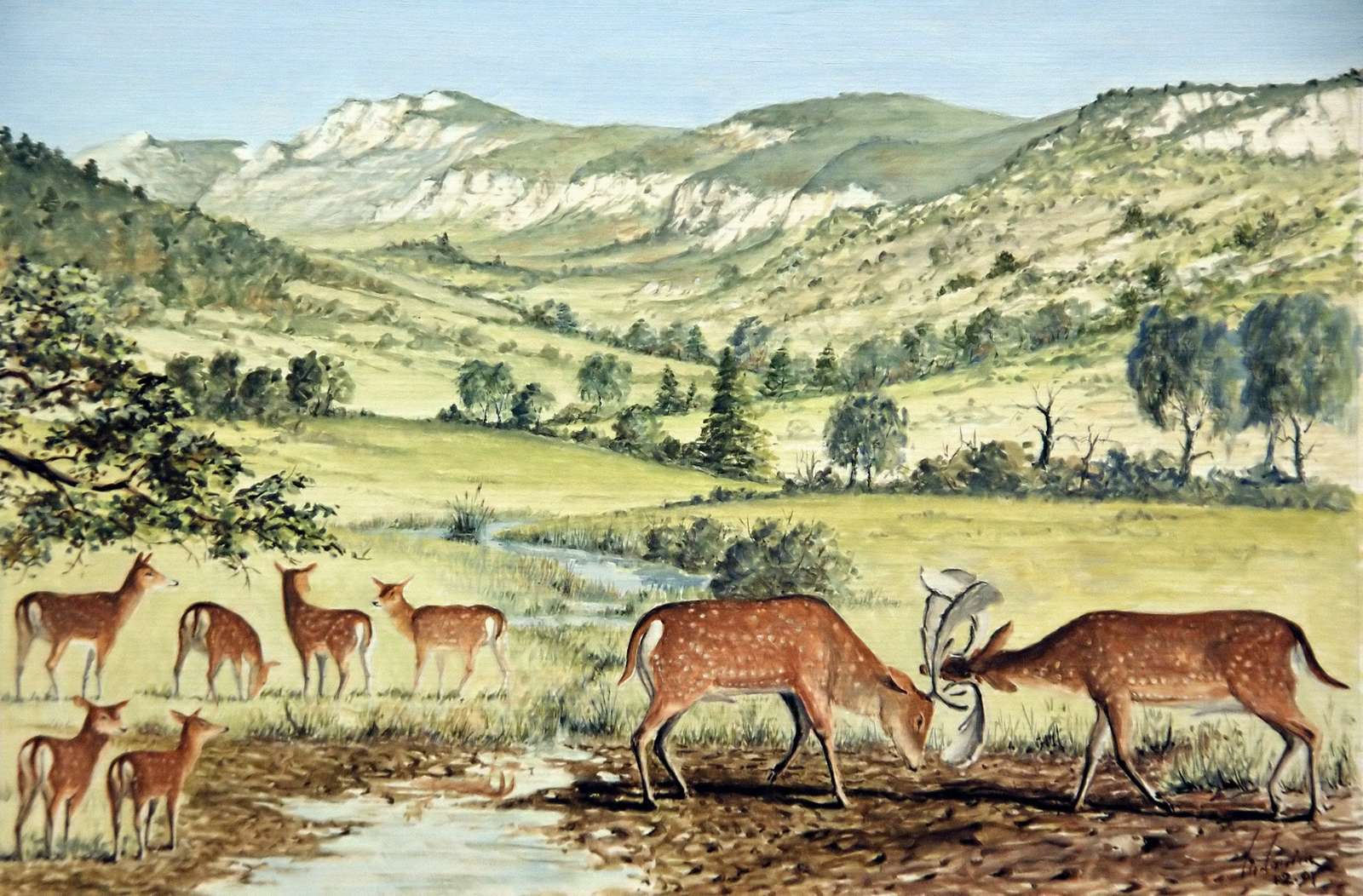 Combat de daims Dessin E. Guerrier.