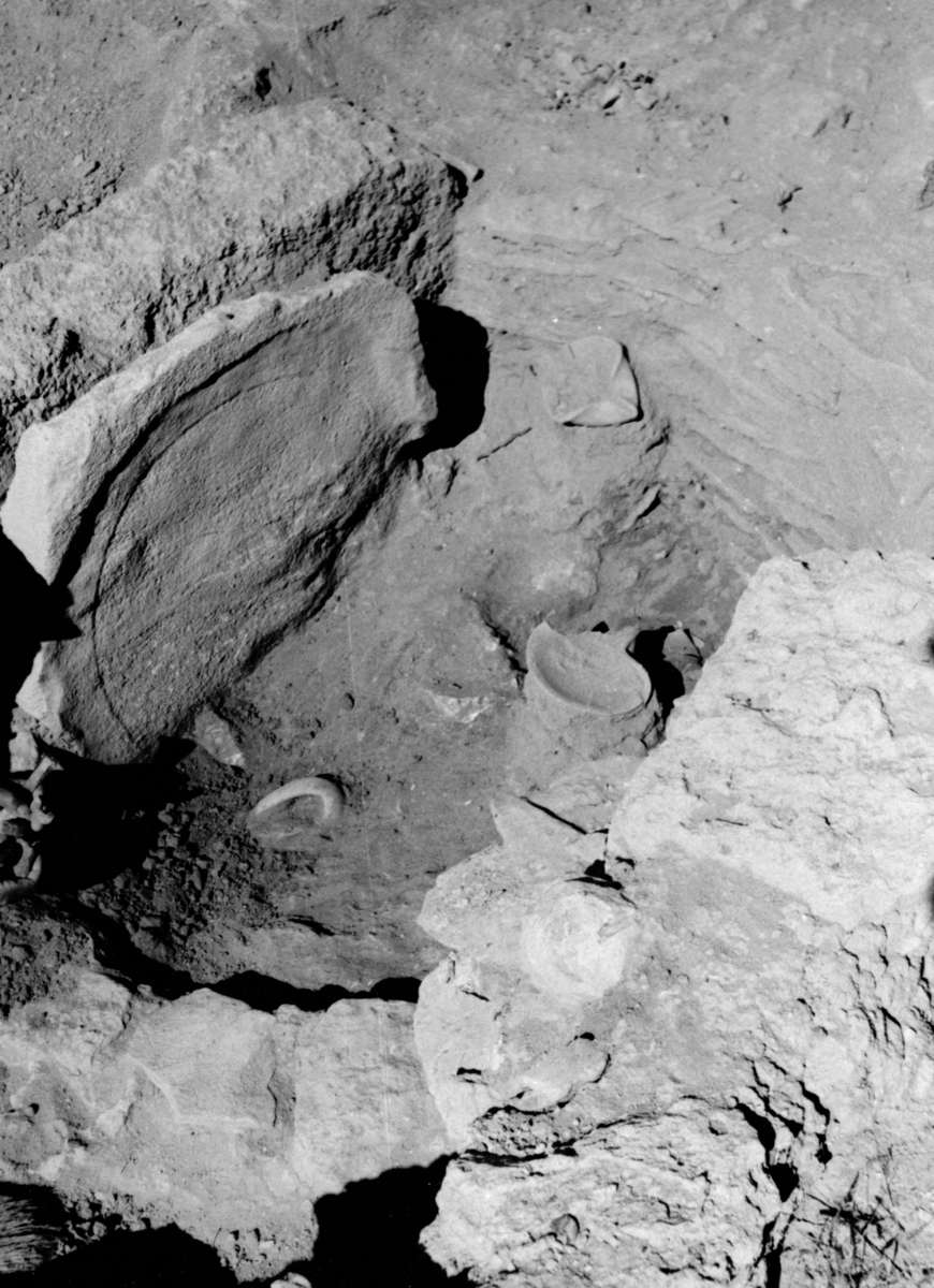 Vue inédite du puits d’accès de la tombe collective 4496