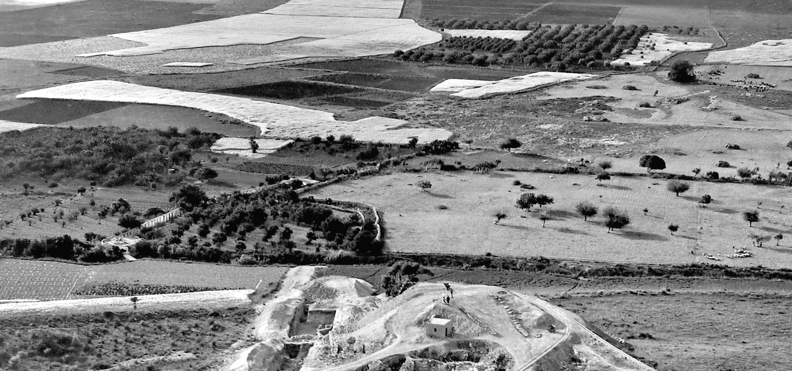 Cultures de blé et jardins d'oliviers dans la plaine de Ras Shamra en mai 1933