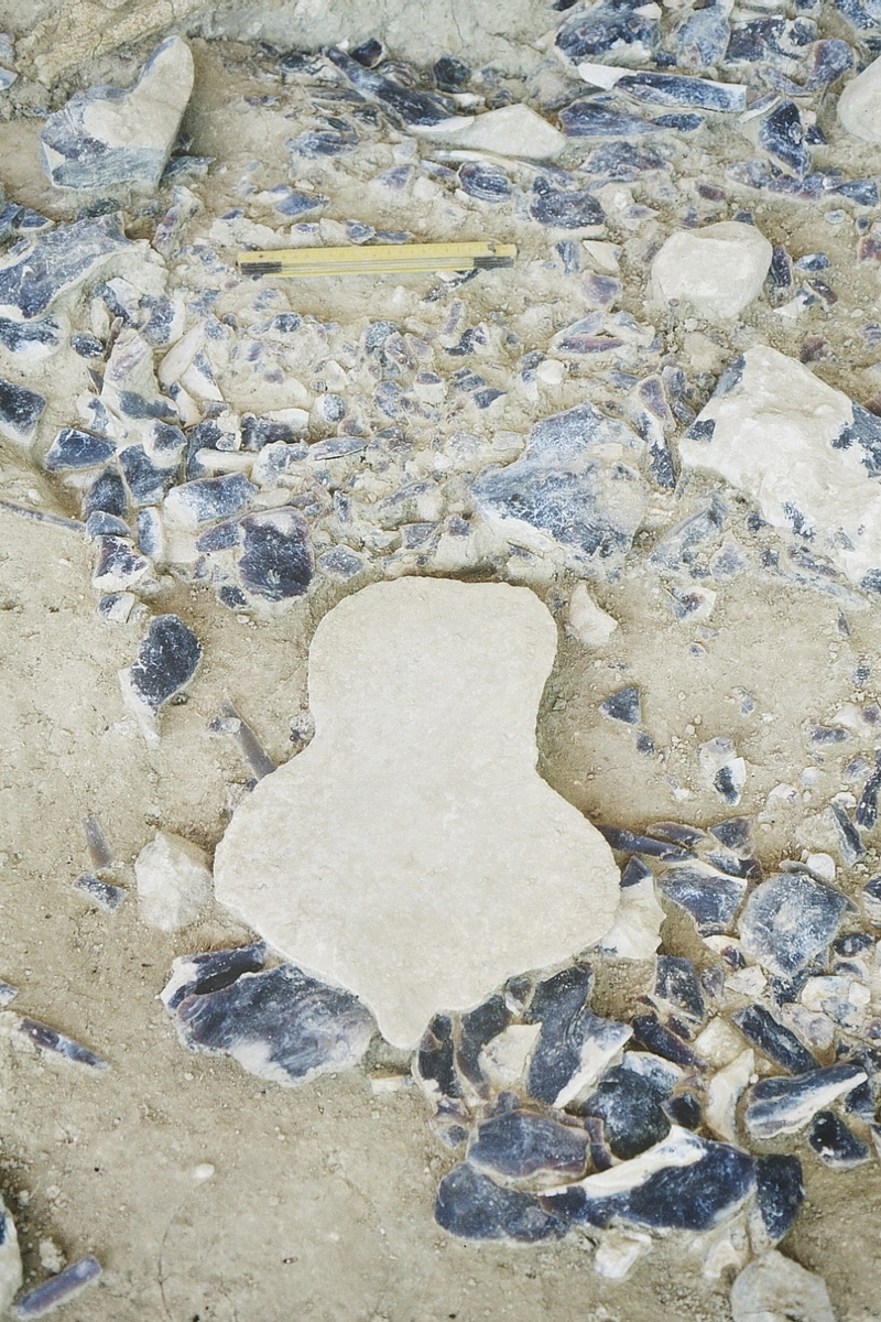 Pierre calcaire de forme insolite dans l’habitation Q31 du locus 1 à Étiolles