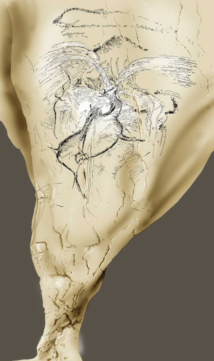 Phases d'exécution 5