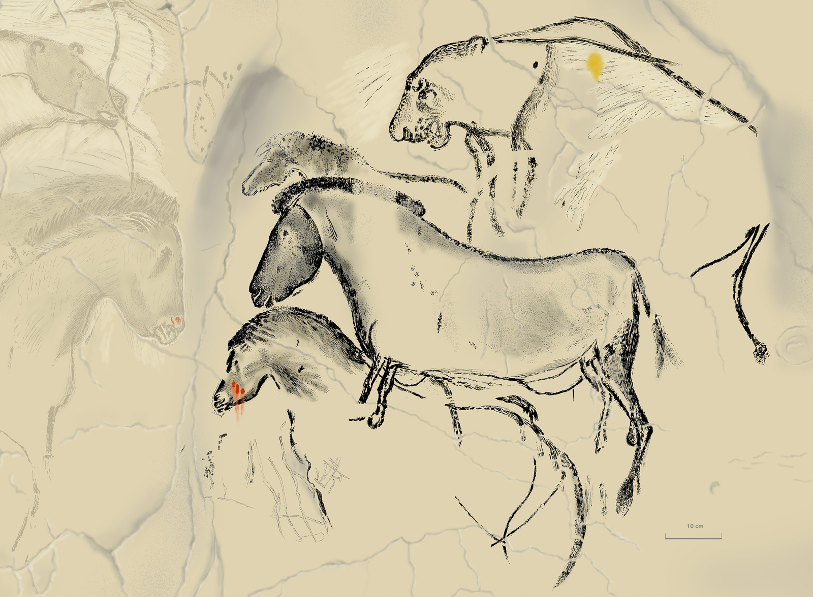 Lion du haut aux babines retroussées