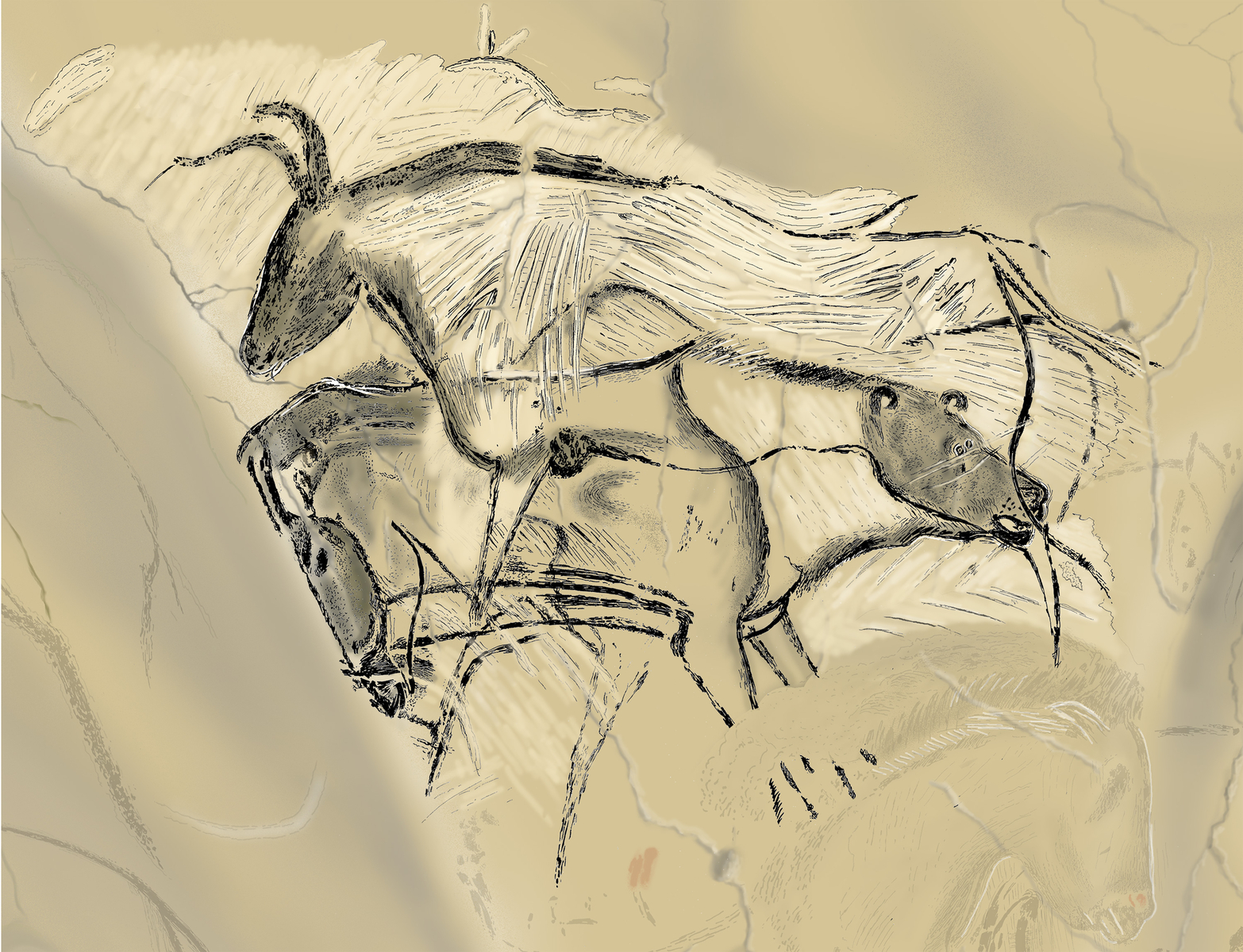 Phases d'exécution chronologique 4