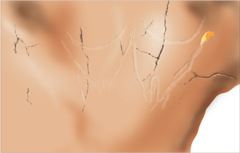 Phases d'exécution chronologique 2