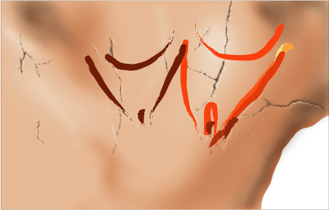 Phases d'exécution 10