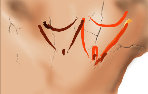 Phases d'exécution 12