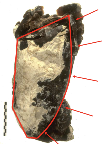 Le volume du nucléus une fois mis en forme