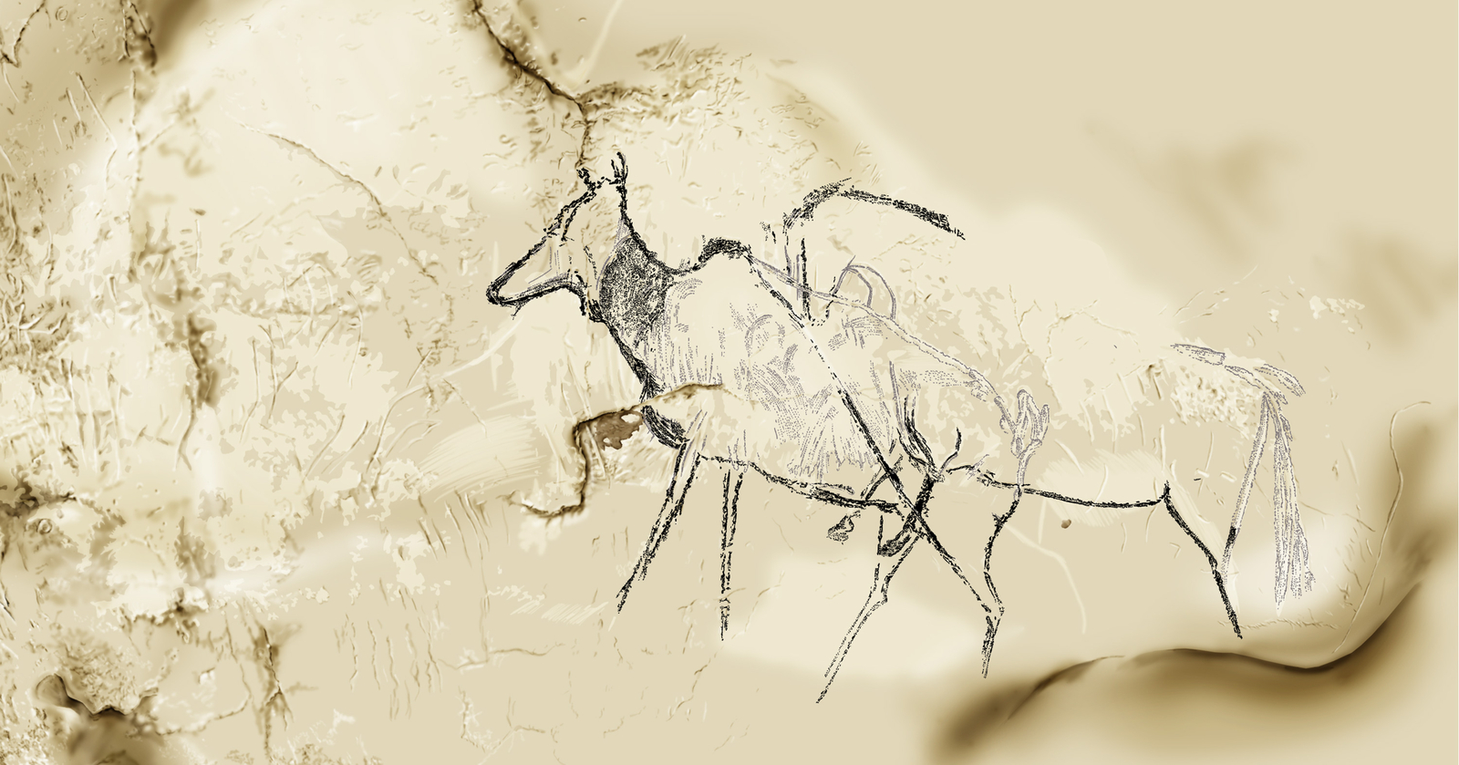 Phases d'exécution chronologique 2