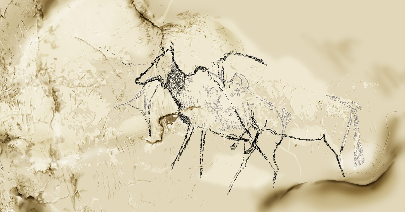 Phases d'exécution chronologique 3