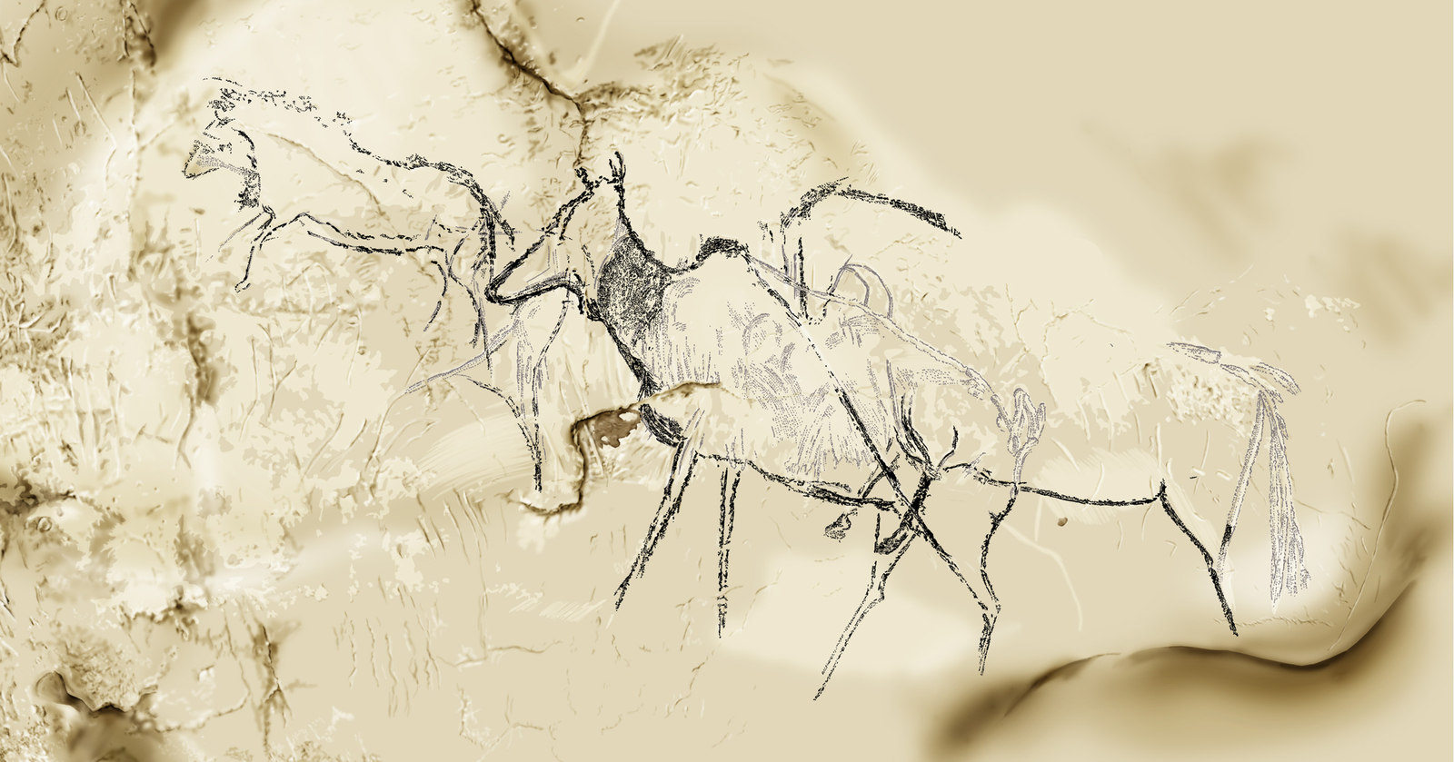 Phases d'exécution chronologique 4