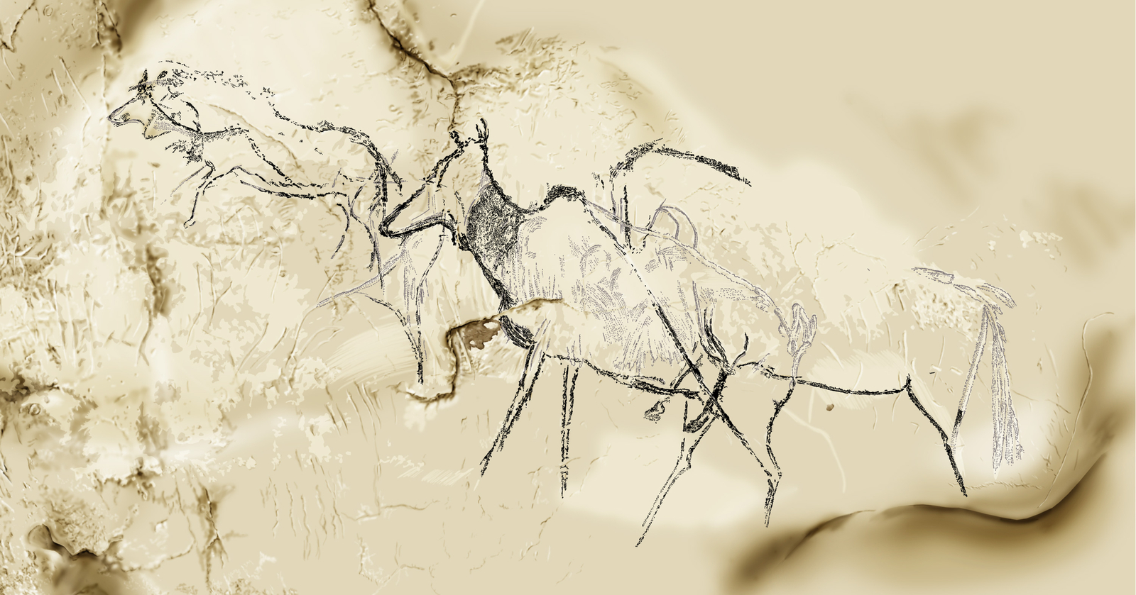 Phases d'exécution 5