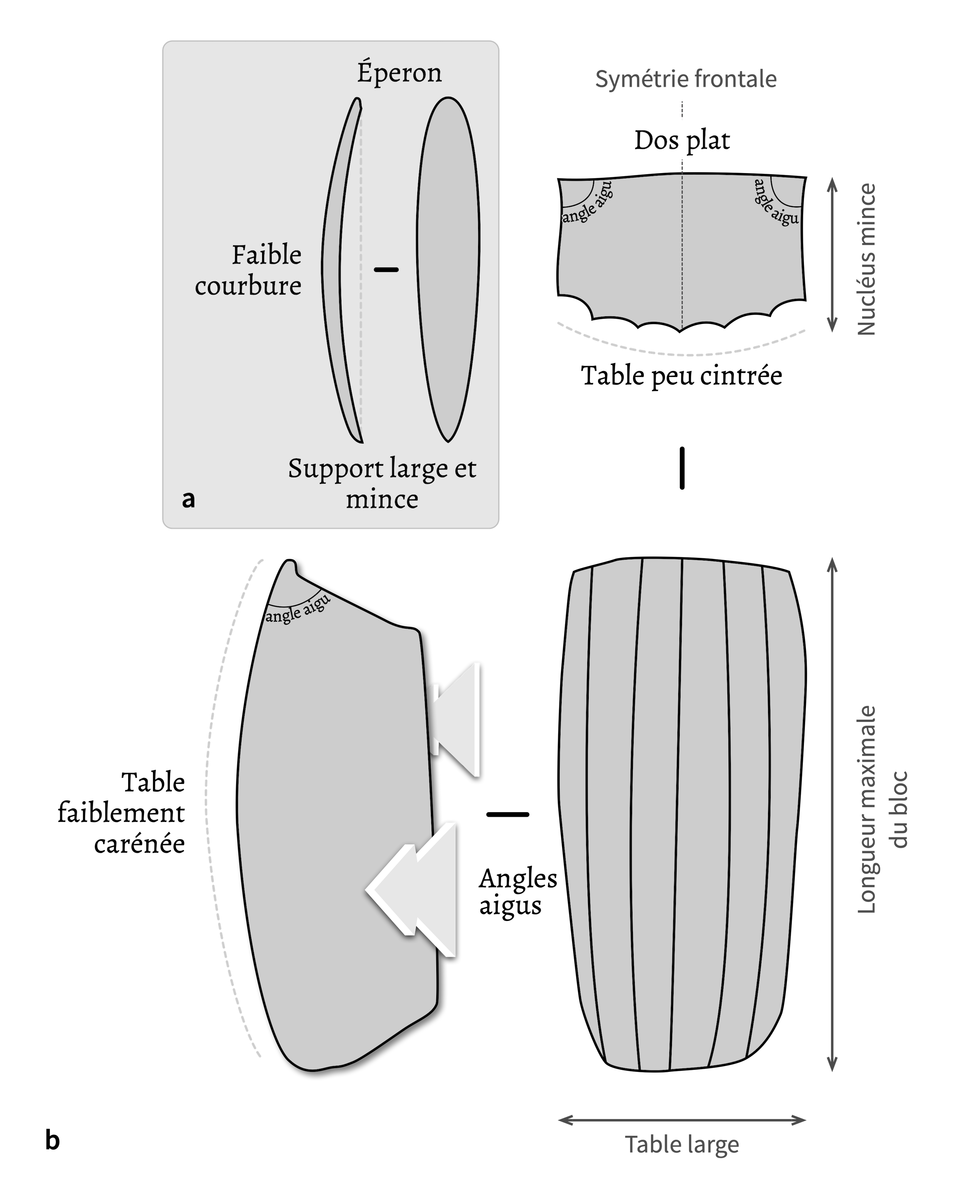 Le débitage laminaire original de D71