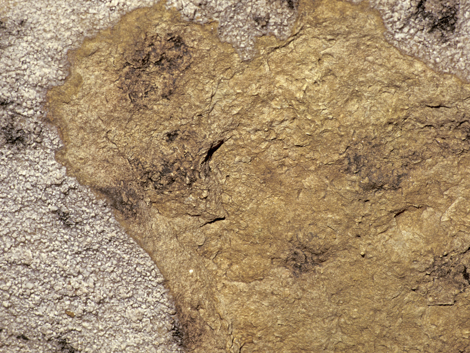 Photographie d'une roche mise à nue par desquamation ou corrosion du support