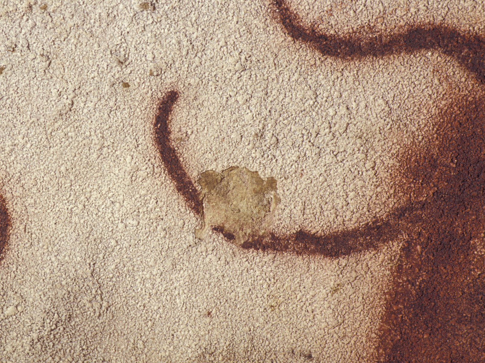 Photographie d'une calcite à grain fin