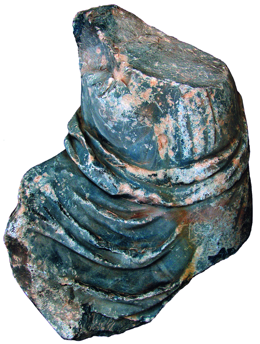 065_TorseMuse