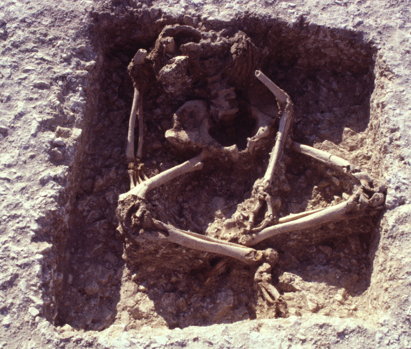 Photographie d'un des trois inhumés assis 