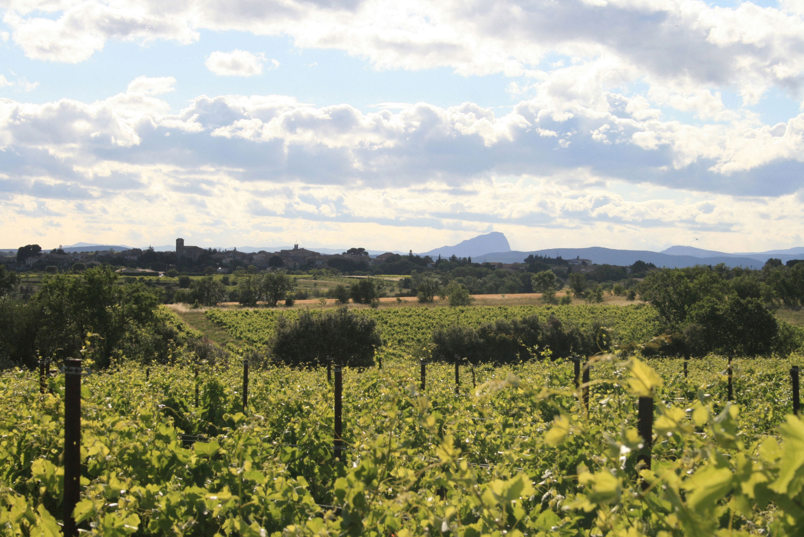 Saint-Christol, la plaine languedocienne  