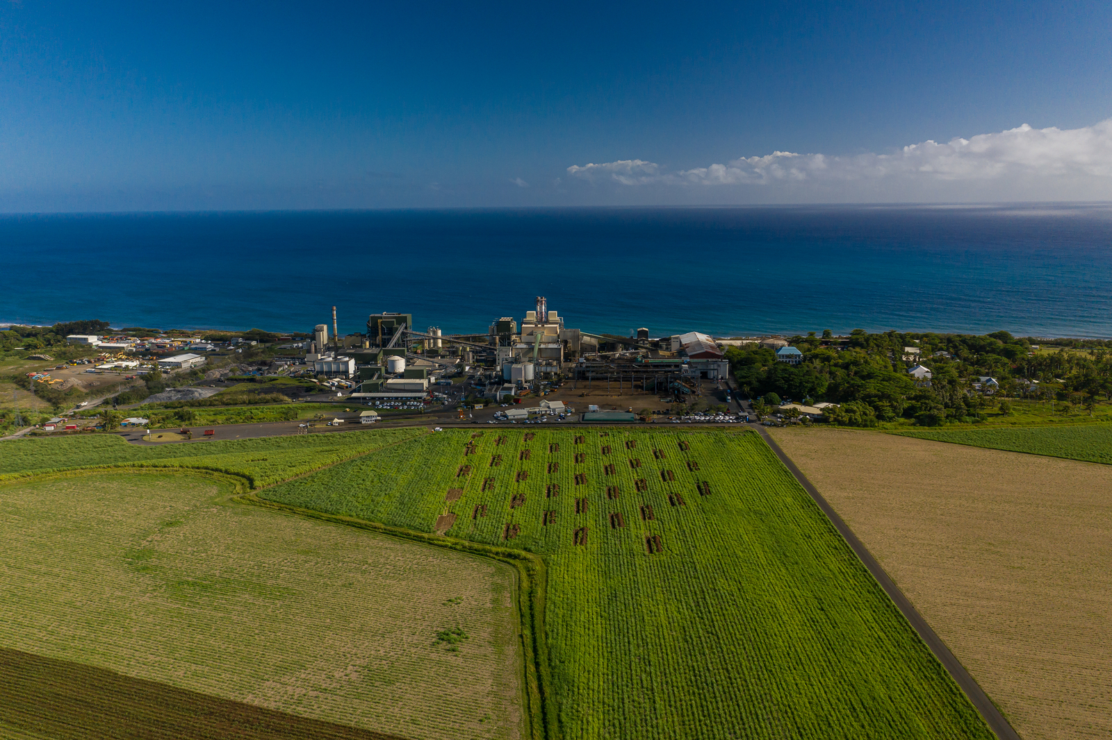 General view (Saint-André, Bois-Rouge, 2020)