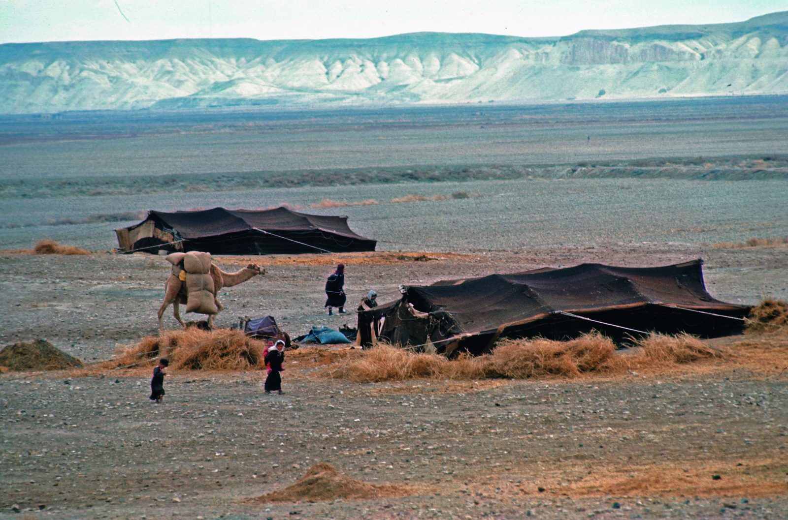 Campement bédouin