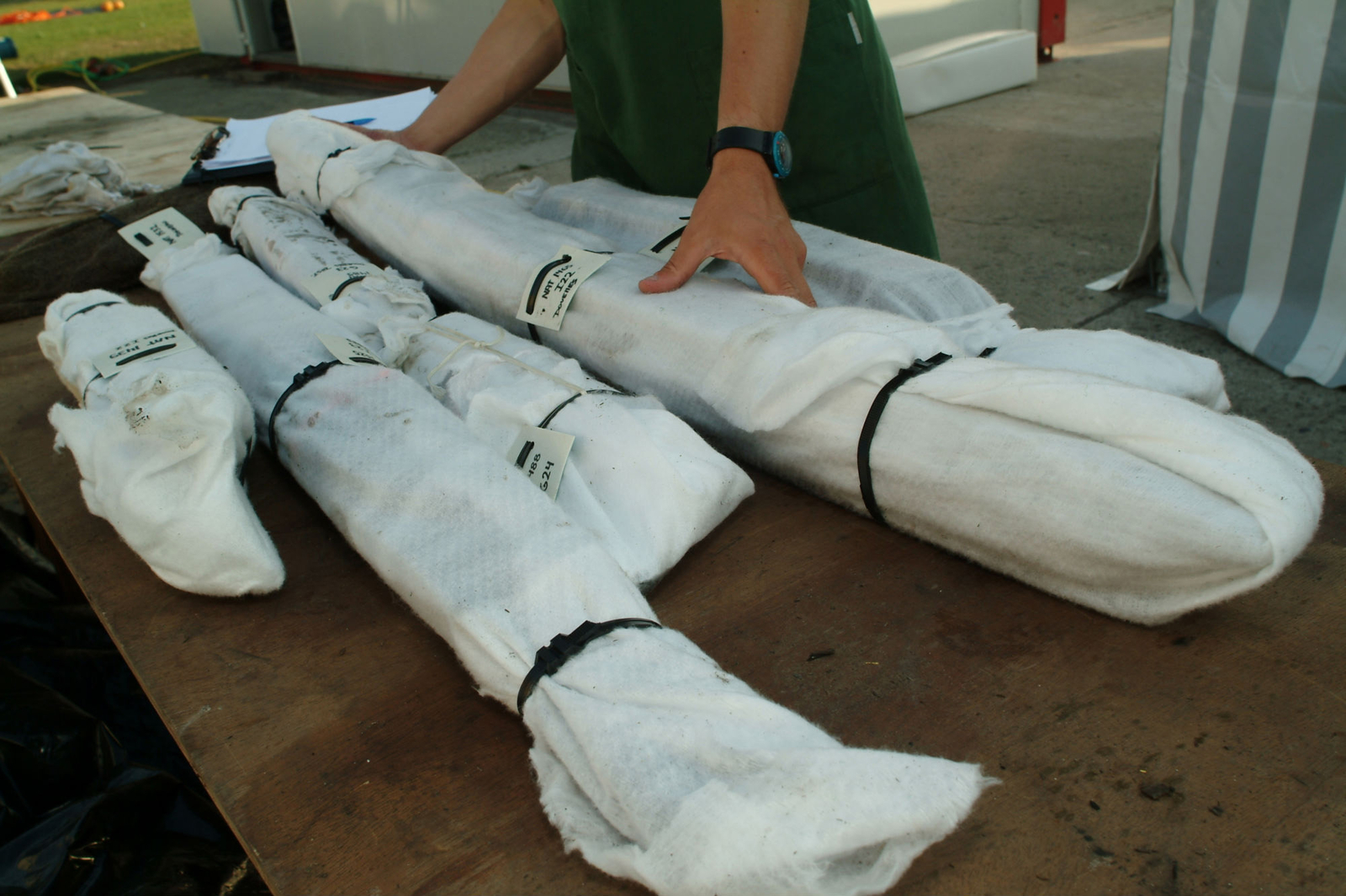 Photographie des vestiges conditionnés et destinés à être enfouis