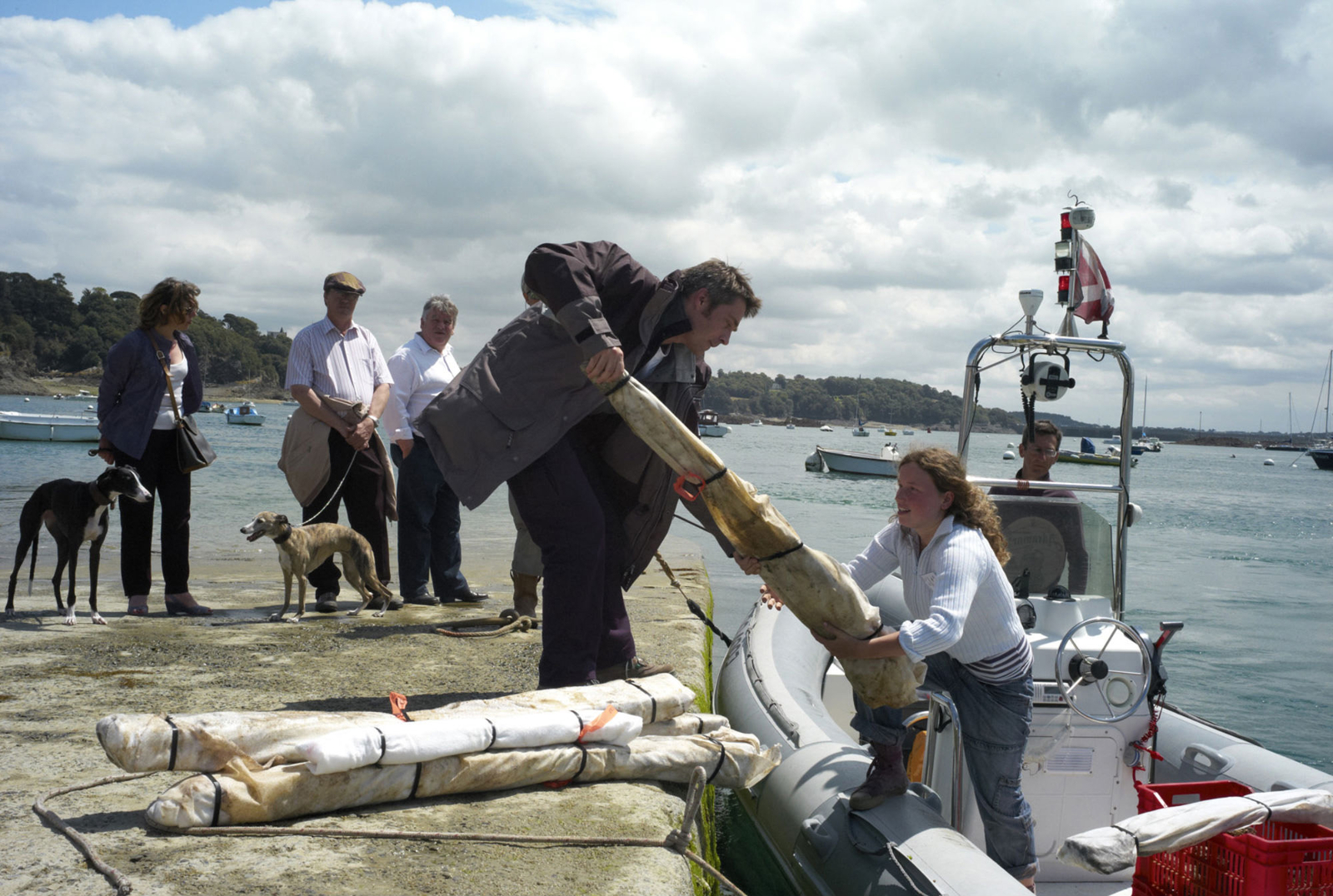 Photographie des vestiges transportés pour être enfouis de nouveau