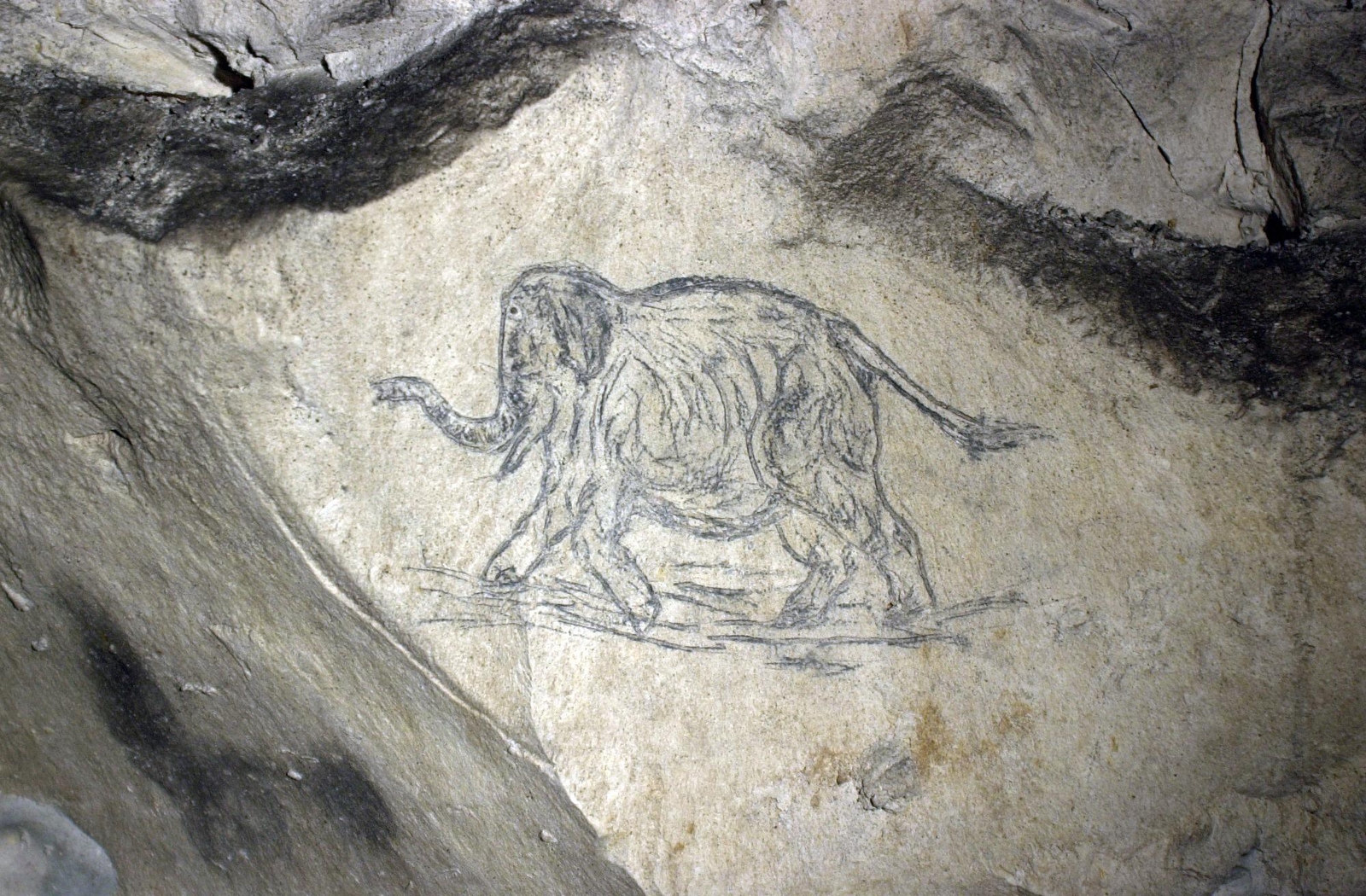 Éléphant dessiné sur la paroi des souterrains britanniques d'Arras