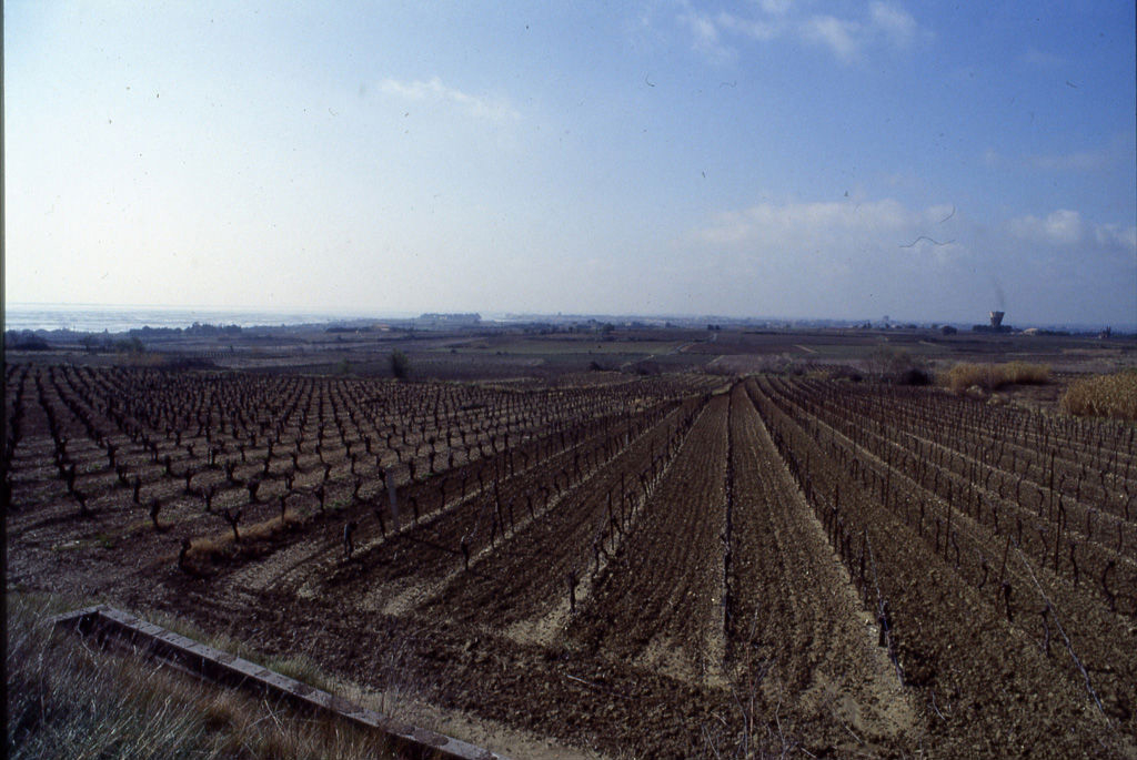Vue du bassin versant des Vignaux