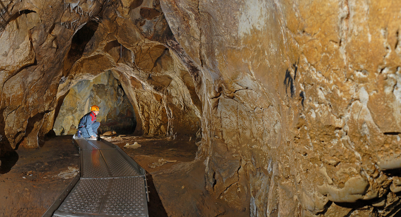 La galerie des Mégacéros