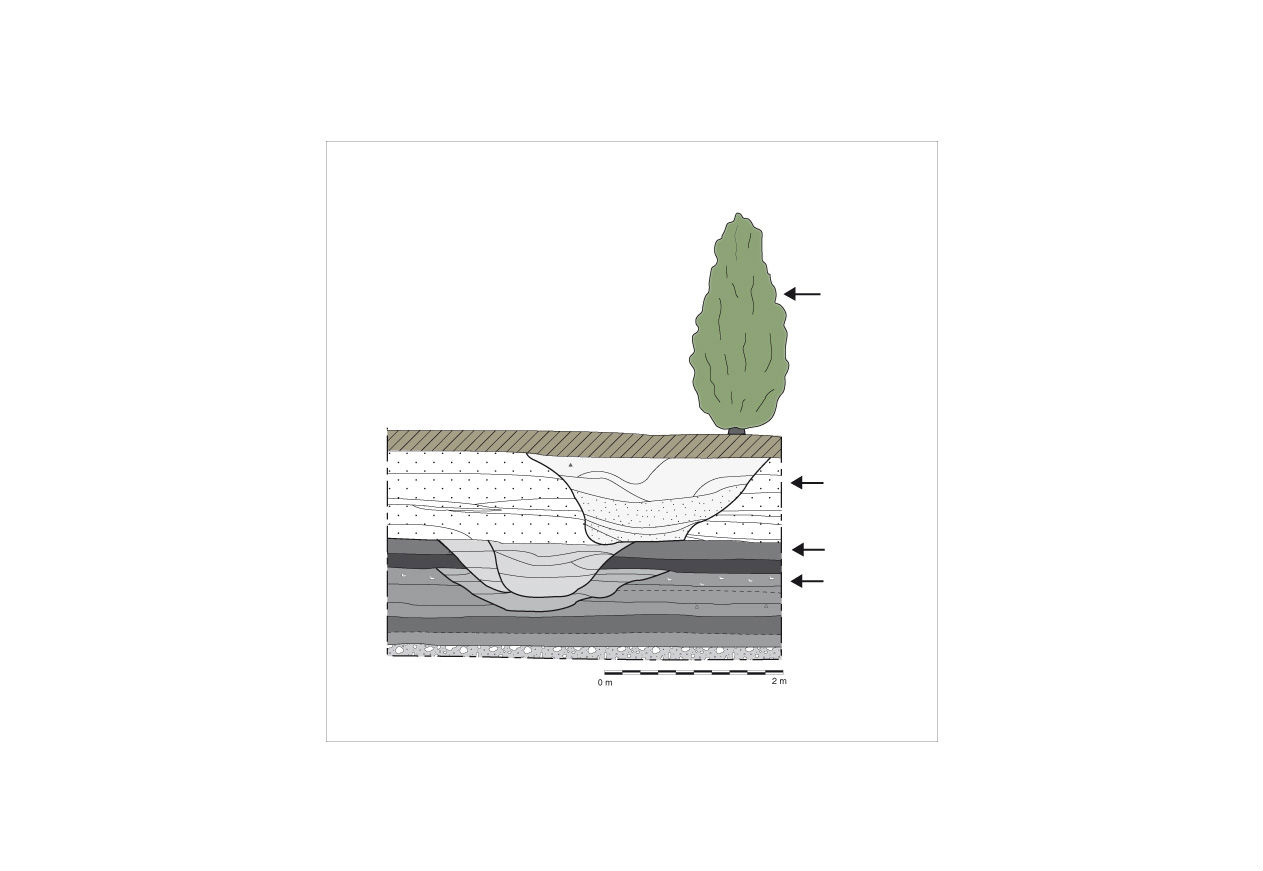 Permanence de limites parcellaires depuis l'Antiquité