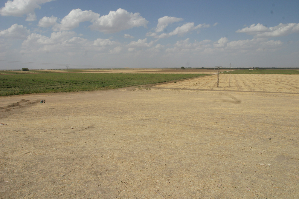 La plaine du Khabur 