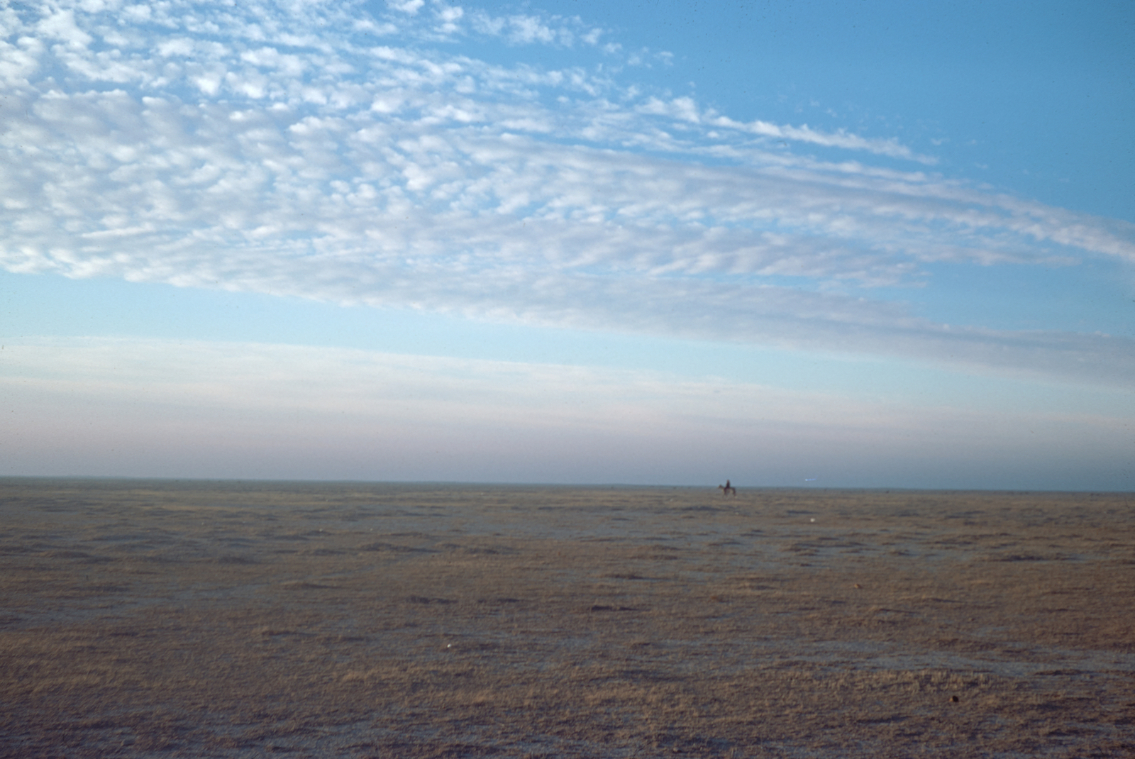 Une plaine monotone. © Mission Archéologique française de Larsa-‘Oueili, ARCH. MAE, JLH273_07_23