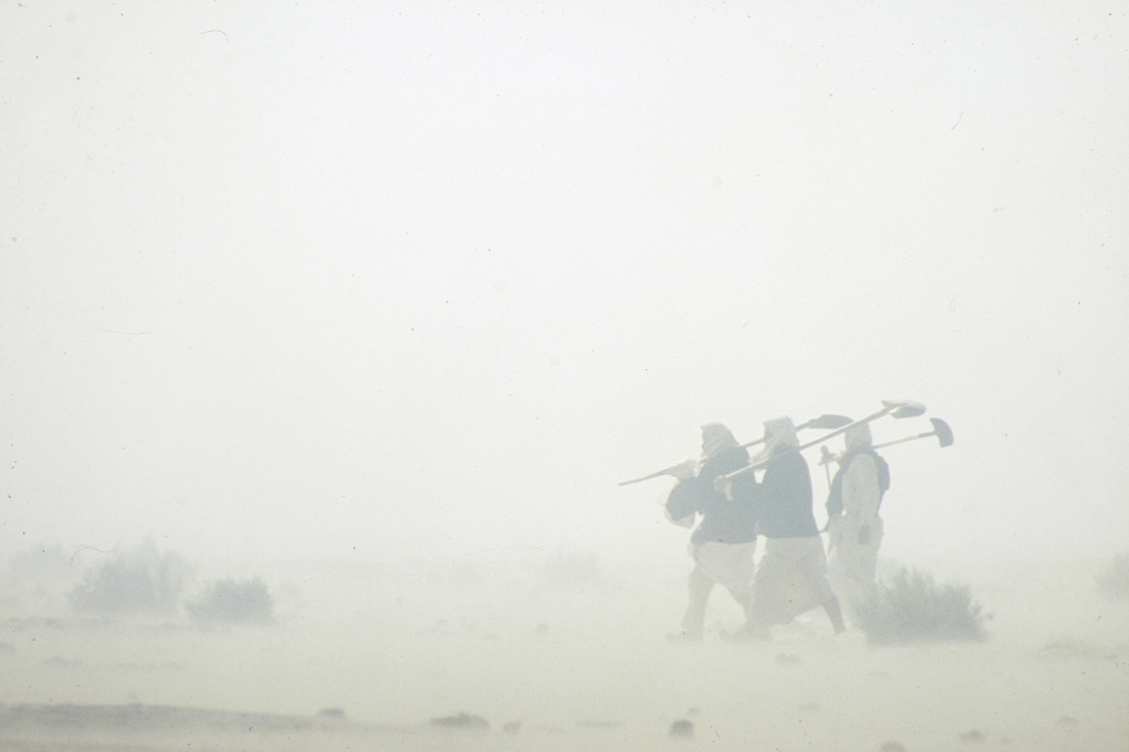 Tempête de sable à Larsa. © Mission Archéologique française de Larsa-‘Oueili, ARCH. MAE, JLH277_11_05, cliché Joël Suire