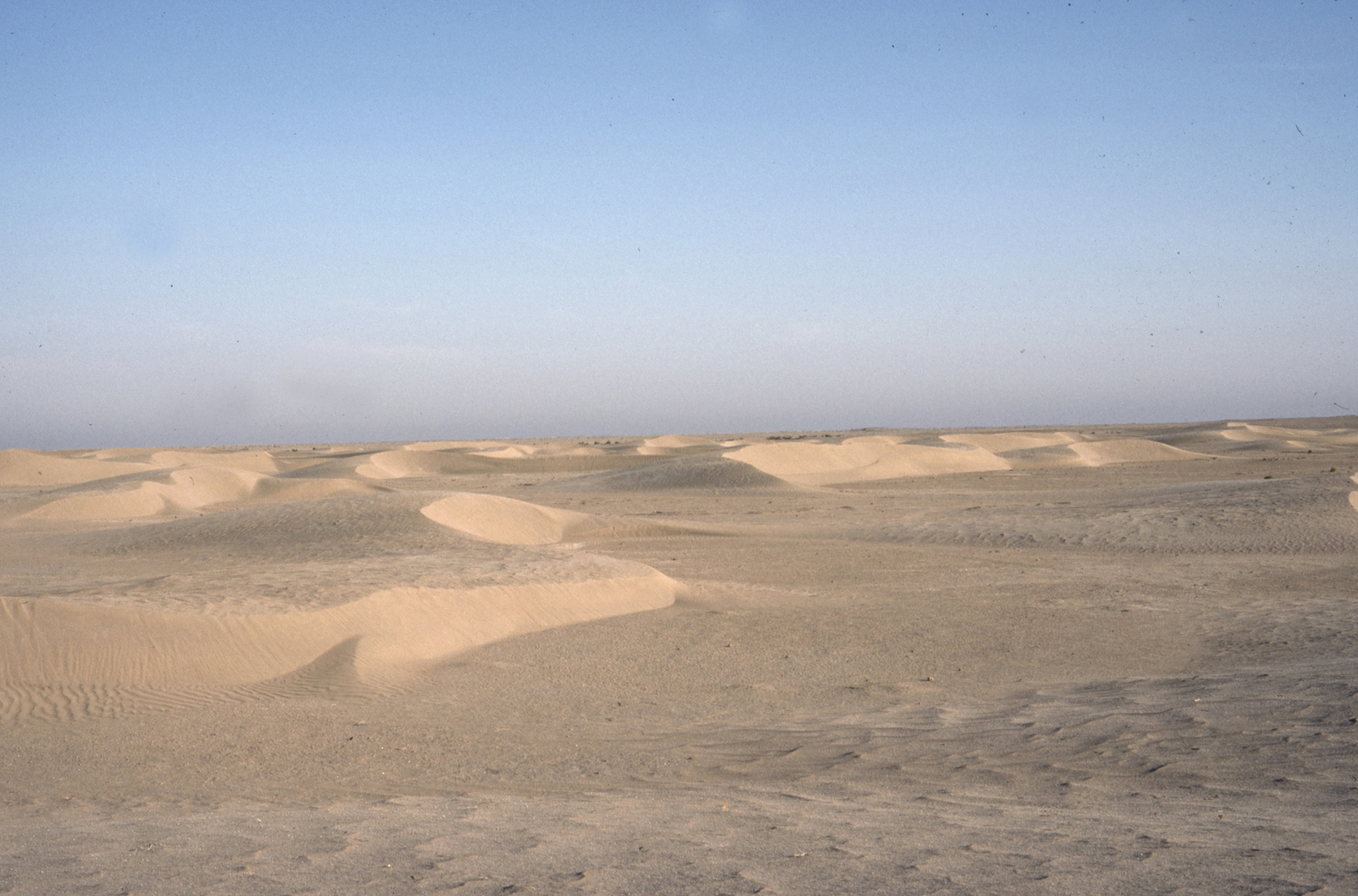 Le désert. © Mission Archéologique française de Larsa-‘Oueili, ARCH. MAE, JLH278_06_005