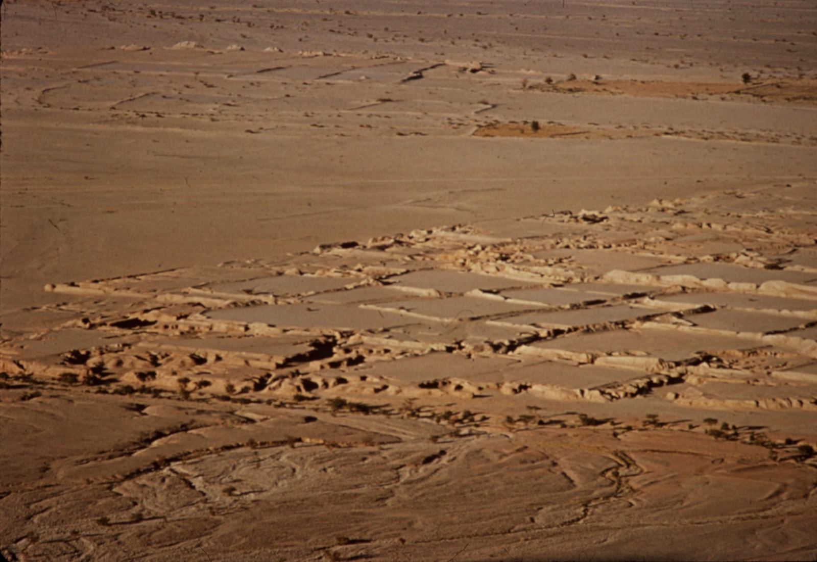 Champs irrigués antiques au nord de Shabwa