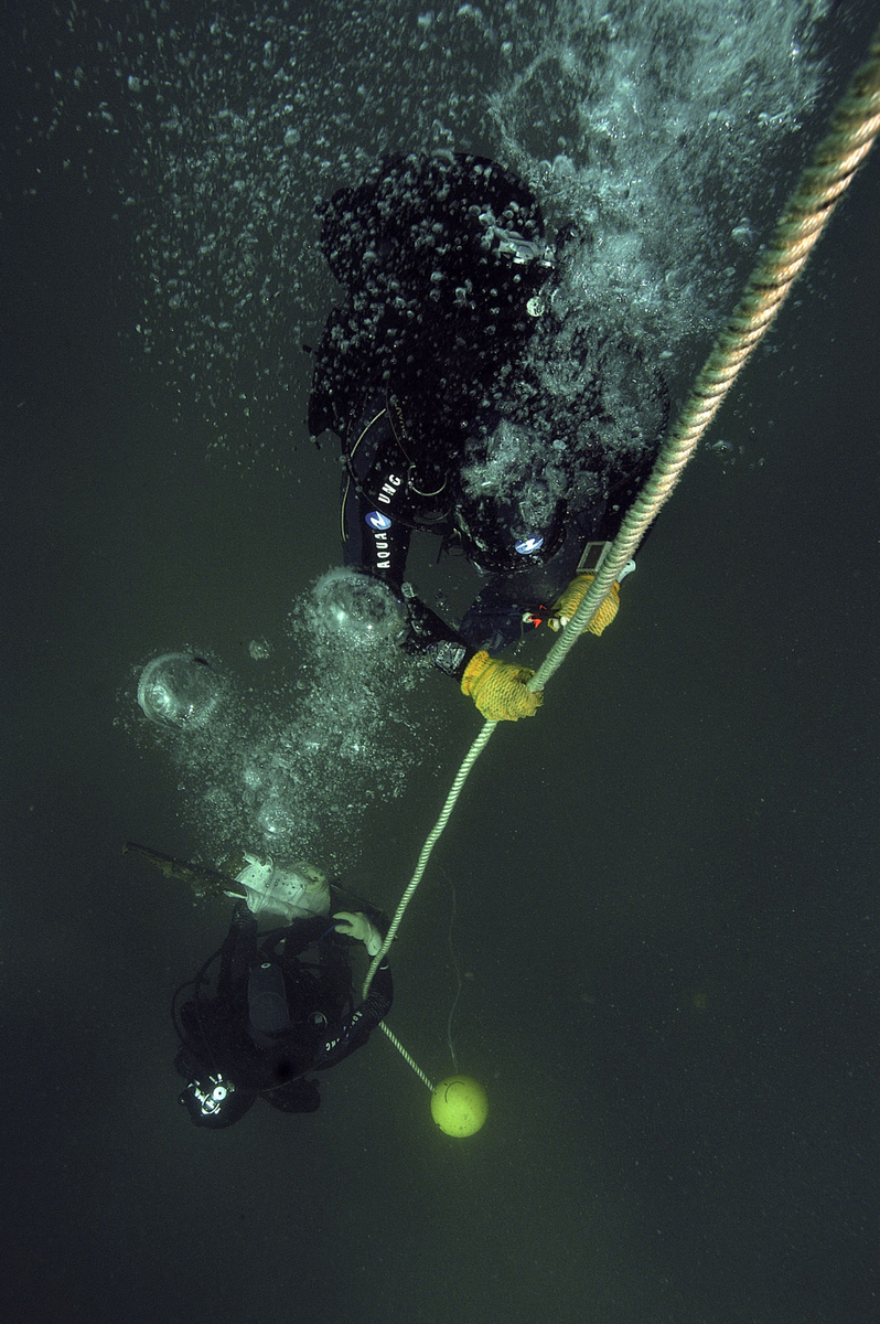 Photographie de plongeurs descendant par la ligne de vie