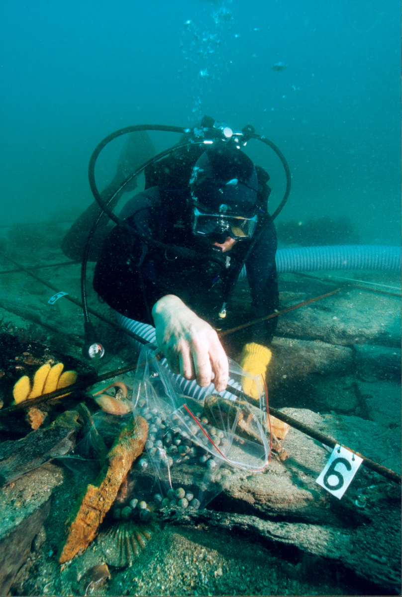 Photographie sous-marine de la découverte de balles de pistolet et de fusil