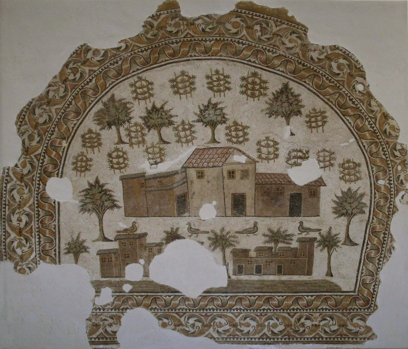 Exploitation agricole spécialisée  