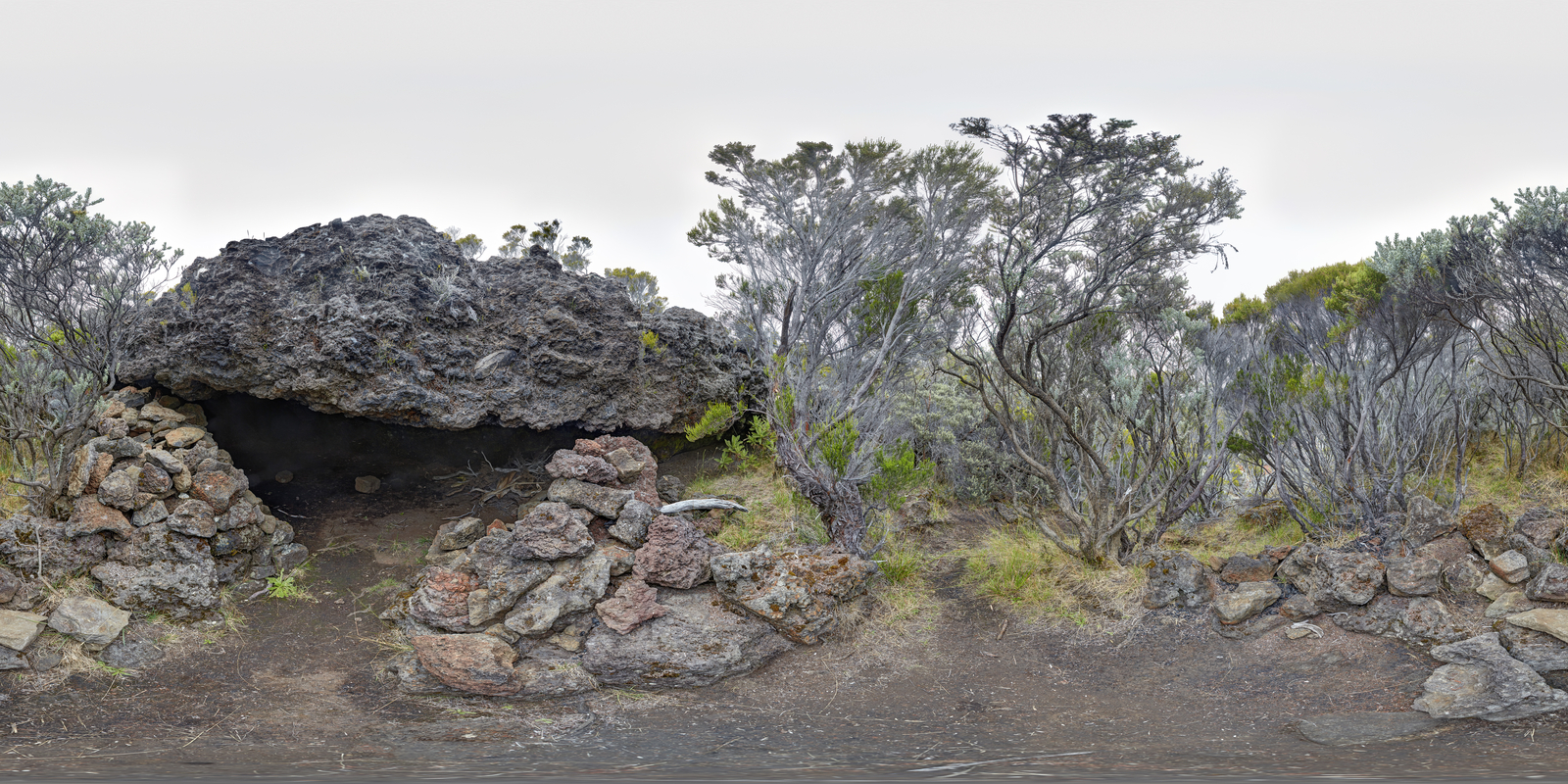 General view (Saint-Joseph / Le Tampon, Caverne des Lataniers)