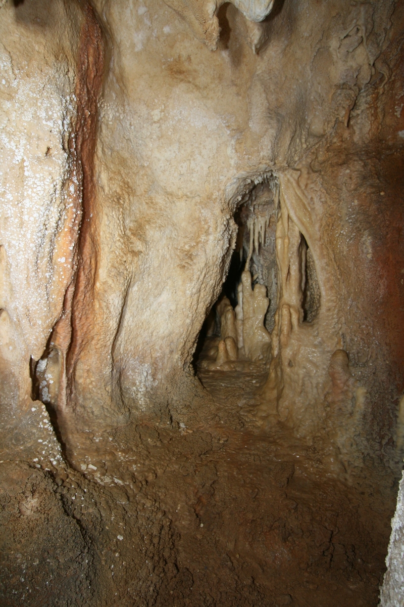 La chatière d’accès