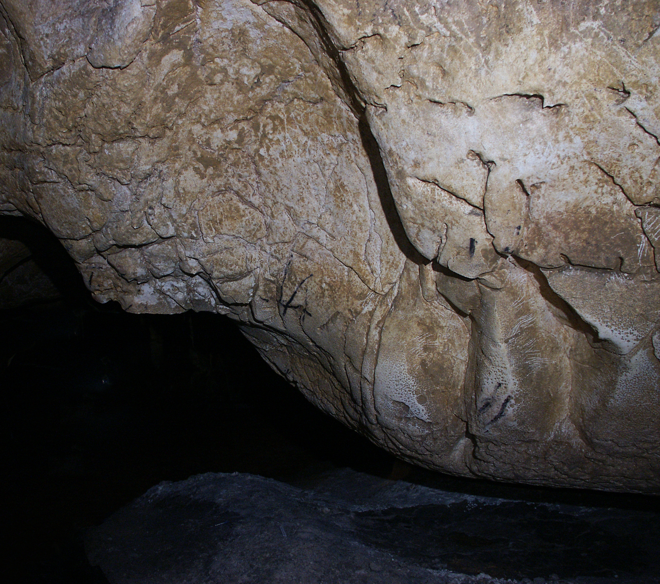 Traces paléolithiques et coups de griffe d’ours