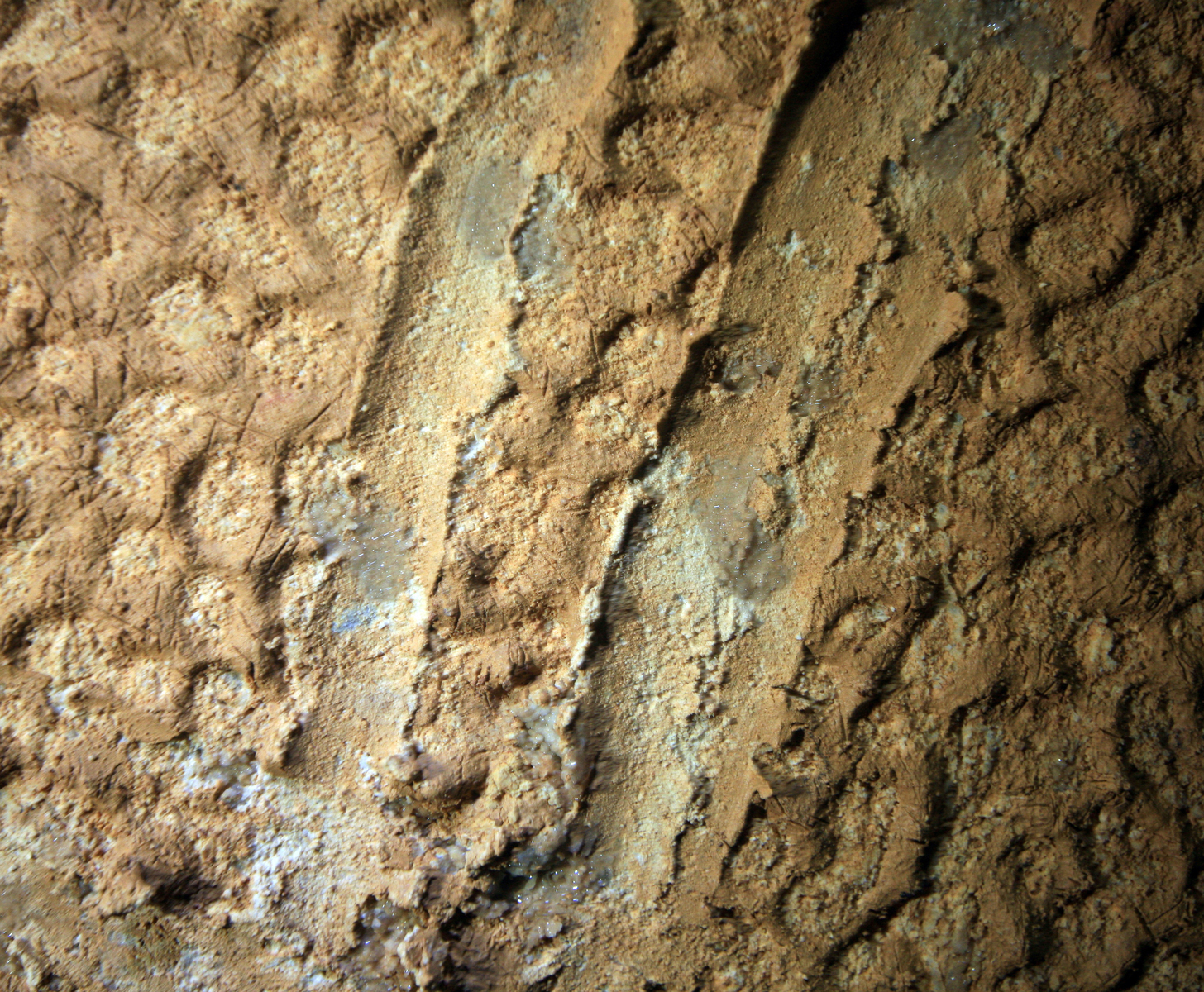 Tracés faits au doigt