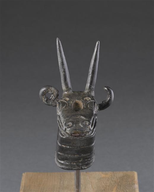 Timon à tête de dragon