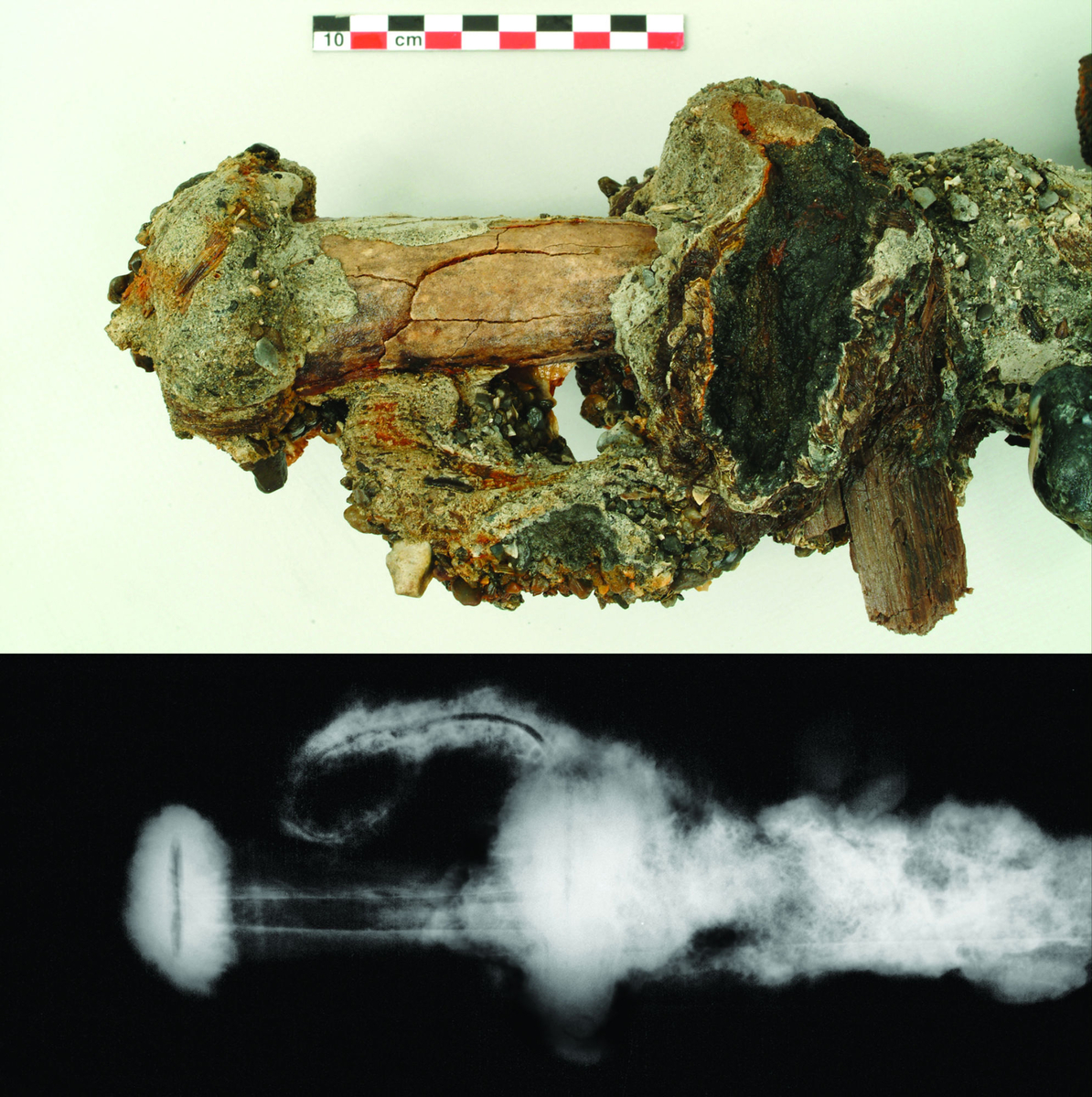 Photographie d'un sabre découvert sur la Dauphine