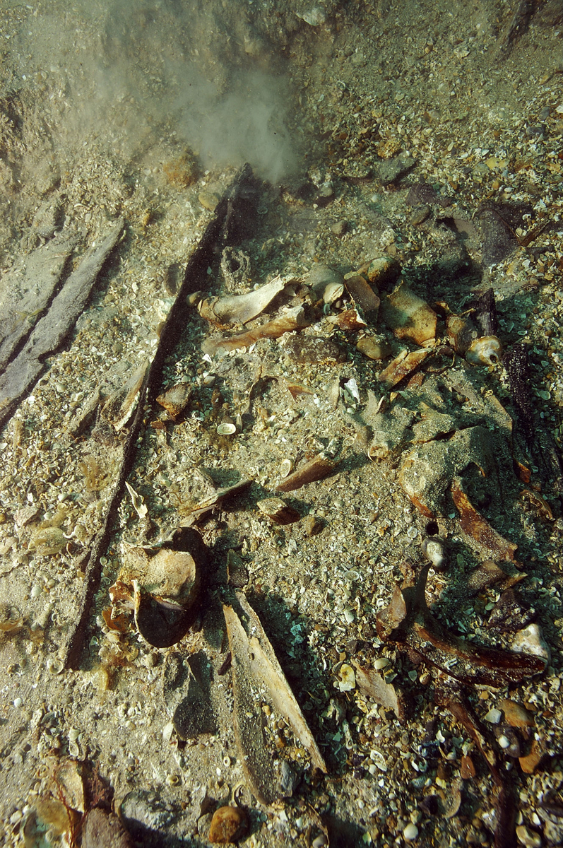 Photographie sous-marine d'un baril de viande